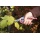 Connex FLOR70201 Blumen-Gartenschere Design, 180 mm, alu Bild 4