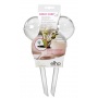 Elho 2102920810000 Bewsserungssystem Aqua Care, transparent Bewsserungskugeln Bild 1