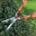 WOLF-Garten 7439000 Heckenschere mit Wellenschliff HS-W 408