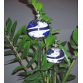 Lupi 2 Durstkugeln im Set Blau Bewässerungskugeln Durstkugel Pflanzensitter Bild 1