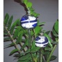 Lupi 2 Durstkugeln im Set Blau Bewässerungskugeln Durstkugel Pflanzensitter Bild 1