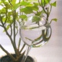 Lauscha Glaskunst Durstkugel Bewsserungskugel klar ca. 8,5cm Bild 1