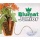 Blumat 3Er Satz Bewsserung Bewsserungskugeln Bild 2