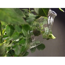 Durstkugel / Bewässerungskugel,8 Stck. Rillenglas Olive, mundgebl. Lauscha Bild 1
