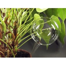 12 Stck, Durstkugel / Bewsserungskugel ca. 9 cm Lauscha Bild 1