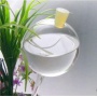 Pflanzensitter Durstkugel Bewässerungskugel klar mit Siliconverschluß ca.9cm Bild 1