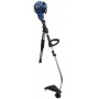 Einhell BG-PT 2538 AS Benzin-Rasentrimmer 469