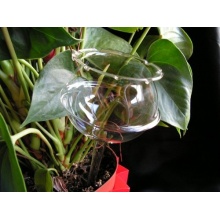3 Stck Durstkugeln / Bewsserungskugeln glasklar, 8cm, mundgeblasen Lauscha Bild 1