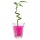 Blumenkristalle 10g pink Bewsserungskugeln Bild 2