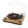 ION MAX LP - all-in-one Conversion Turntable Plattenspieler Bild 1