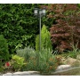 AK 3-flammige SOLAR LED Edelstahl Kandelaber, Standleuchte Bild 1