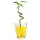 Blumenkristalle 10g gelb Bild 2