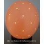 Strauenei Teelicht 57 Lcher inkl. Stnder Bild 1