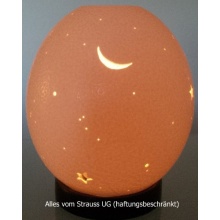 Strauenei Teelicht Sterne. Monde & Nebel inkl. Stnder Bild 1