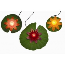 wunderschne beleuchtete Seerosen fr Garten und Teich Bild 1