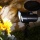 SolarCosa DR-0140T Solar-Gartenspot Bild 1