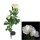 Solar Gartenstecker LED Blume Licht Deko Wei Rose Bild 2