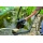 T.I.P. 30258 Tauchpumpe DTX 7500 T Bild 3