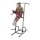 GVKR 82 Deluxe Kniehebe- und Dipstation von Body Solid Bild 1