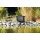 T.I.P. WDF 10000 Teichaussenfilter mit UV-C Bild 2