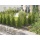 Gardena 1350-20 Micro-Drip-System Verteilerrohr 4,6 mm  Bild 4