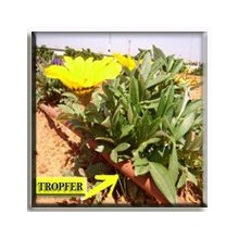 Plastro 1 m laufender Meter Tropfrohr PC druckkompensiert 50 cm Tropferabstand Bild 1