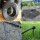 Rain Bird 200 m Microschlauch 4/6,5 mm Durchmesser Bild 1