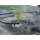 Rain Bird 50 m Microschlauch 3/5 mm Durchmesser Bild 3