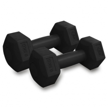  2 Gymnastikhanteln (2 x 0,5 Kg) von Torrex Bild 1