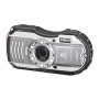 Ricoh WG-4 EU wasserdichte Unterwasserkamera 16 Megapixel silber Bild 1