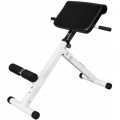  Pro Hyperextension 45grad Rcken-Trainer BCA-57 von Bad Company Bild 1