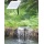 Oasis 501R-1 Solar-Teichpumpen-Set Bild 3