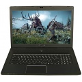 MIFcom Slim Gaming Notebook SG7-M Intel Core i7 17,3 Zoll Bild 2