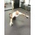 XT Trainer, Schlingentrainer, Suspension System von WOSS Enterprises Bild 3