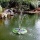 Agora-Tec AT-1.8W Solar Teichpumpe 1,8 Watt Hmax Bild 2