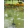 PK Green Solar Springbrunnen Teichpumpe fr Garten Bild 4