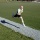 Sport-Weste, kurz Gewichtsweste von Ironwear Bild 3