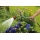 Gardena 8124-20 Classic Giestab Bild 3