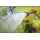 Gardena 8155-20 Premium Spritz-Giestab Bild 2