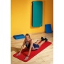 Gymnastikmatte ProfiGymMat TheraMat Unterlegmatte von Wallenreiter Sportgerte Bild 1