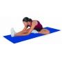 Everlast Trainingsmatte Unterlegsmatte Bild 1