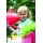 Emsa 512664 Fuchsia Blumengieer 1.5 L Bild 2