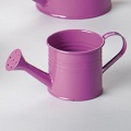 Dirk Lohmann Import GmbH GIESSKANNE PINK 11540 Bild 1