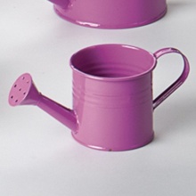 Dirk Lohmann Import GmbH GIESSKANNE PINK 11540 Bild 1
