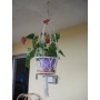 Blumenampel Makramee , beige Bild 1