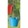 Pflanztopfhnger Tilla Metall blau D 15 cm Blumenampel Bild 1