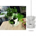 MM Exclusiv Krutertopf Kruterampel Blumenampel Bild 1