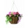Gardman 00910 Georgianische Blumenampel, 35 cm Bild 2