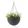 Keter Blumenampel Hanging Sphere Bild 1