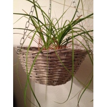 ACT Blumenampel grau Bild 1